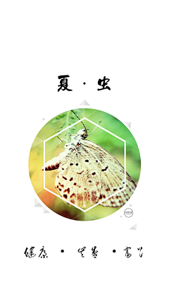 Royachen采集到微距摄影(roya原创禁止商用)