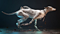 Farid Ghanbari制作的Warrior Dog 641   生物  3D   CGS社团