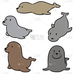 海狮,可爱的,华丽的,狮子,哺乳纲,动物,装饰物,布置,坐,绘制