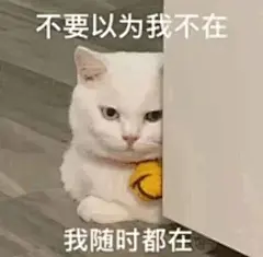 搞笑表情包来丰富一下表情包无水印​​​