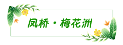 微导航采集到好作品交流-推文小元素