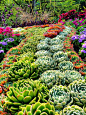 Canada 2010 - Vancouver by Peter 79, via Flickr