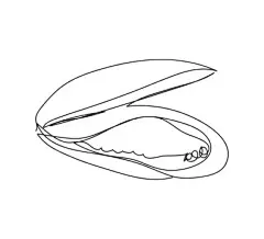 一笔画 | 图源免费EPS文件 |贻贝、海蛤连续线条画。鱼类、海鲜、软体动物的单线艺术