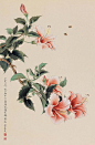 (888) Pinterest