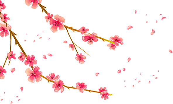 花卉