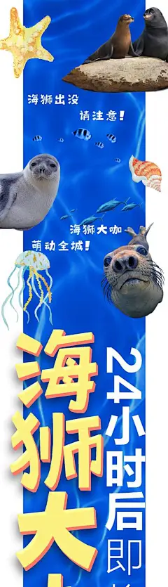 海报 长图 地产 海狮 暖场 海星 卡通