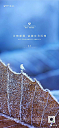 2019霜降地产稿精选入围作品揭晓 : 百家齐鸣，各路精彩！