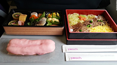 arc-chen采集到飞机餐