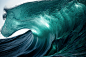 Sea Wolf by Warren Keelan on 500px