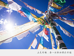 leostudio采集到待归类