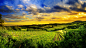 Hills of Vienna