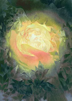不仅是插画也是对生命的思考。作者 @Cathyinaba 巧妙的构图和魔法师般对光影的应用，为我们描绘出一幅幅充满灵气的画面，在醉心于画面美好之余，你是否也感受到了作者想要传达的内心世界？

绘画工具：iPad 绘图应用 Procreate

Procreate超话 #iPad画画# #画师推荐# #数字艺术# ​​​​