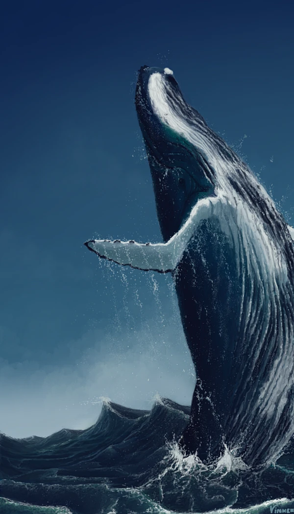 humpback whale by kasperv on deviantart-花瓣网