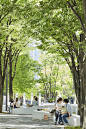 Grand Mall Park STGK Inc. | studio gen kumagai : A renovation project of the Grandmall Park, a 700 meter long park located at the center of  21. Designated a “Future City” by the Japanese government,...