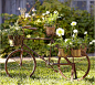 花彩创意家居：自行车在花园中造型应用