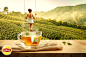 Lipton Green tea - a taste of relaxing life : Print visual design for lipton 