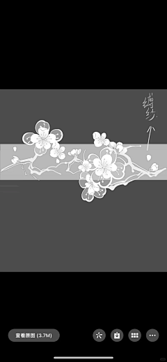 拾肆_LyTing采集到场景-花草-自然-植物