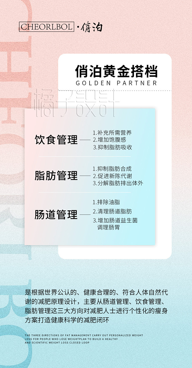 橘子设计