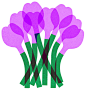 tulips.jpg (474 KB,1290*1344)