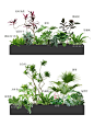 森系办公室花箱造景清单丨绿植隔断设计搭配 - 小红书