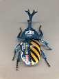 This may contain: a blue and yellow bug with black stripes on it's body, sitting on a white surface