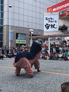 mountlake采集到生活方式