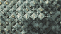 Motion Design Monday - Rise