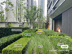 -小河蟹-采集到设计 | 花境
