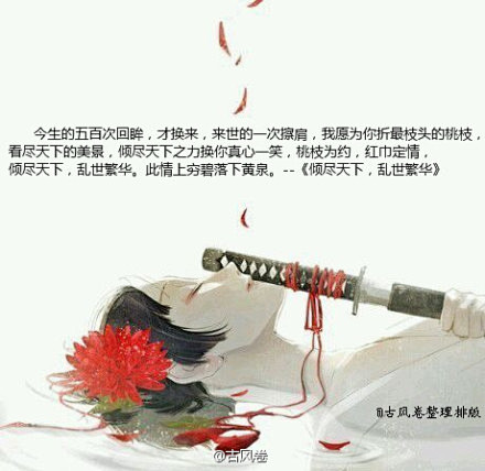那些惊艳了你时光，温柔了你岁月的句子  
