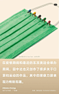 其中包括图片：