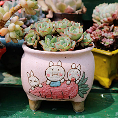 画xin_美美采集到diy