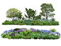 景观灌木植物 花境植物组团 观赏生态花草 网红小区植物搭配 底层灌木丛