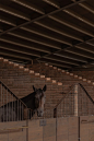 22_SAN-RAMON-EQUESTRIAN-_MODICALEDEZMA_-scaled