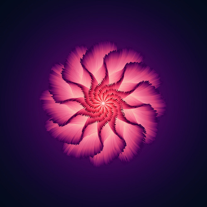 Midnight Bloom 2nd P...