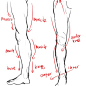 #SAI资源库#动漫男性腿部&人体绘制，画腿部时要记得肌肉线条看上去会更自然！自己借鉴，转需~