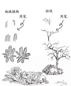 清翎er采集到景观手绘