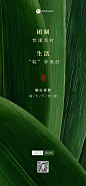 端午节企业对外祝福问候全屏海报