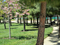 彼得沃克美国加州大学旧金山分校Mission Bay校园景观规划设计_景观设计_ZOSCAPE-园林景观设计意向图库|园林景观学习网