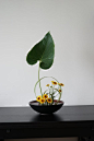 #ikebana #jiyuka