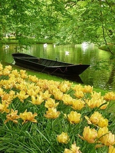 Keukenhof Gardens, N...