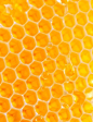 yellow ​​​​