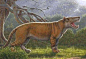 美科学家发现史上最大狮子，比野牛还大，一头相当于如今十头