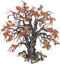 大柿子树.png