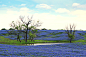 fields-of-flowers-02.jpg (5184×3456)
