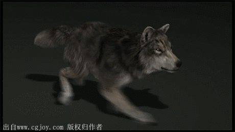 狼各种动作参考 走 跑 跳 嚎叫-游戏动...