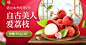 食品生鲜水果荔枝海报banner