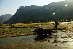 三里城 - 景区景点 - 中国巴东旅游网〔www.BadongTour.com〕——湖北旅游强县·中国三峡纤夫节