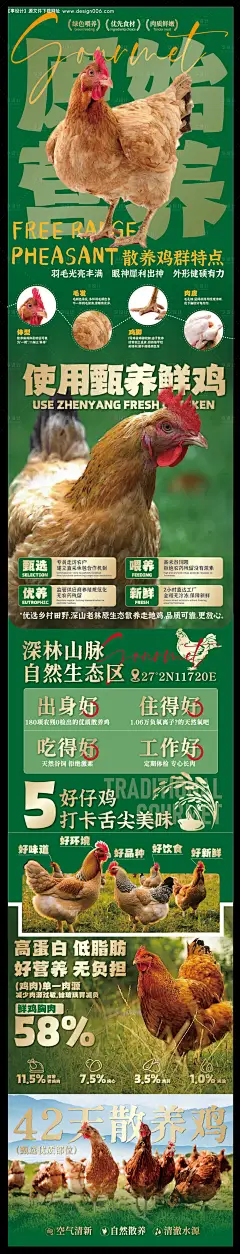 源文件下载【享设计】搜索编号：48520033133231582【赣南美食散养土鸡海报】