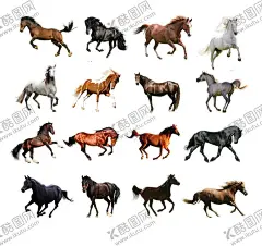 马图  【酷图网】马,动物,骑马,动物肖像,赛马,动物世界,马图,马头,马匹,家马,马鞍,野马,白驹,飞黄,骥,黑马,白马,马术,马术运动,马术场,马场,马特写,马摄影,马素材,马背景,马壁纸,马雕像,马雕塑,汗血宝马,宝马,灰马,马风景,素材马,透明素材马,万马奔腾,骏马,红色马,免扣素材,免扣马,