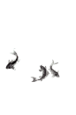 c26fe5895cb0e975bbfa3ed63105a4f8b3de9d54c654f-pfSTCt_fw658